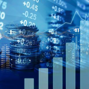 Financial liquidity in the company