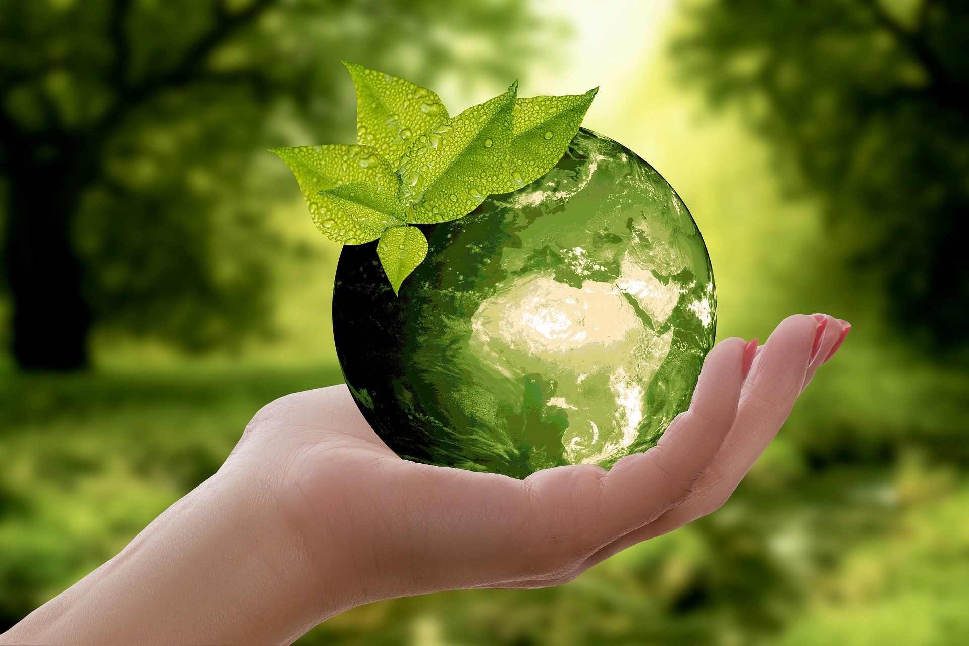 Sustainable purchasing – implementation and execution of ESG